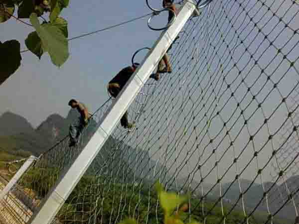 清涧县沿黄公路三期工程主动防护网