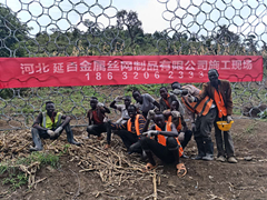 被动防护网出口国外施工