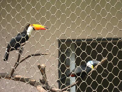动物园防护网