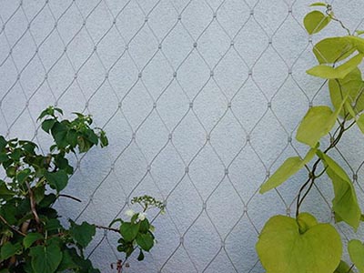 景区植物攀爬网